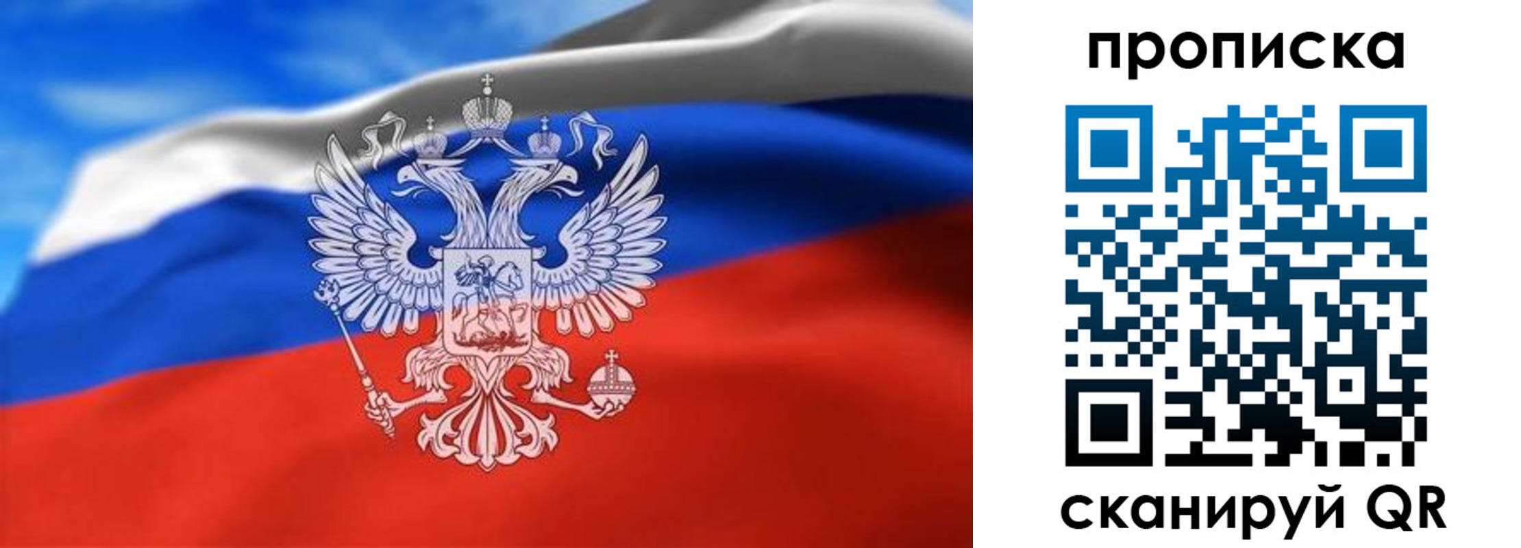 временная регистрация гарантия в Емве